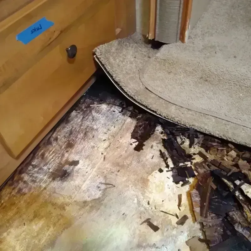 Wood Floor Water Damage in Badger, AK